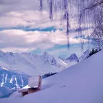公寓 Alpine Retreat 2