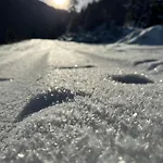 Daire Alpine Retreat 2 Fliess