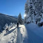 Alpine Retreat 2 Daire *