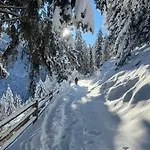 Alpine Retreat 2 Daire