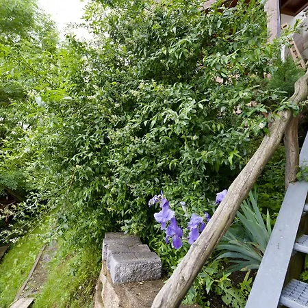 Apartmán Alpine Retreat 2