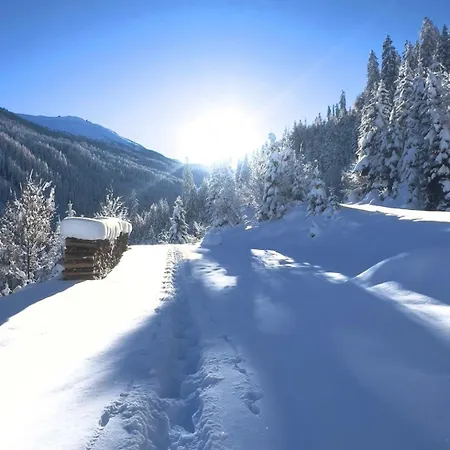 Alpine Retreat 2 Apartament Fliess