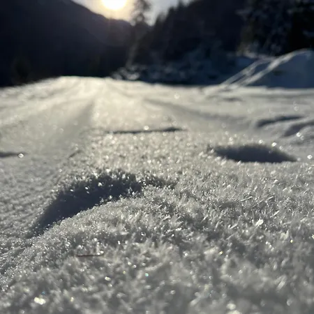 Apartament Alpine Retreat 2 Fliess