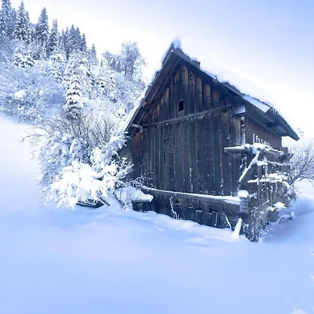 Alpine Retreat 2 * فليس