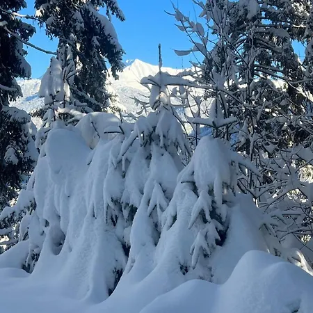 Апартаменты Alpine Retreat 2