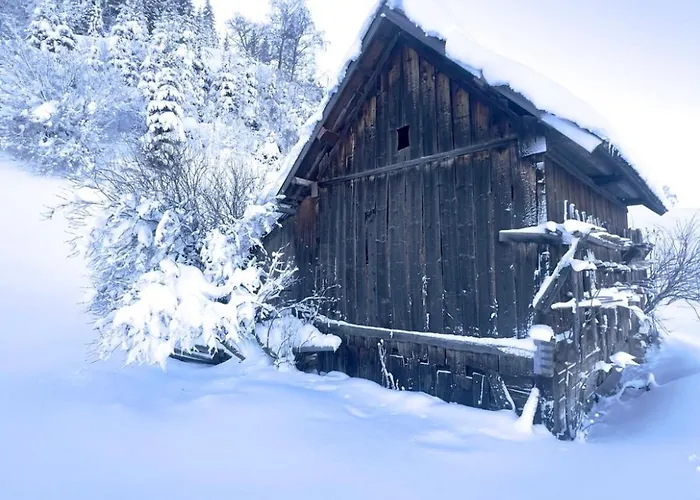 Alpine Retreat 2 * Fliess