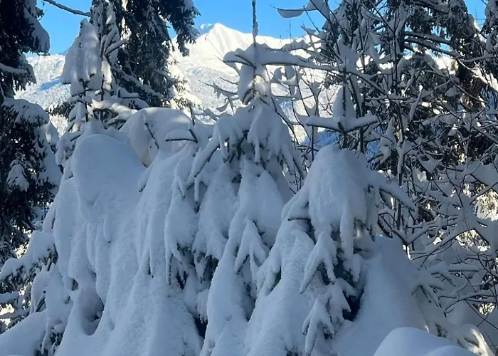 Apartment Alpine Retreat 2