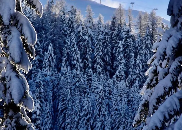 Alpine Retreat 2 Fliess