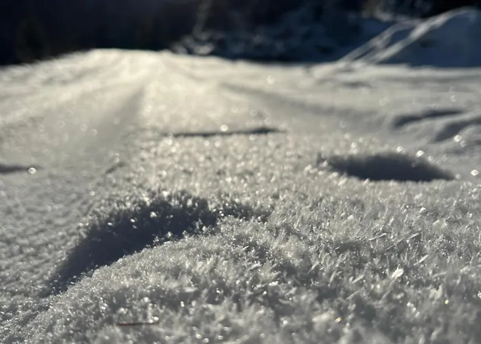 Apartman Alpine Retreat 2 Fließ