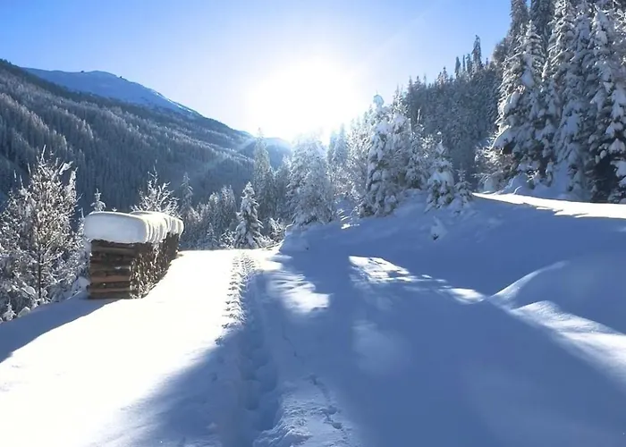 Alpine Retreat 2 Apartment Fliess